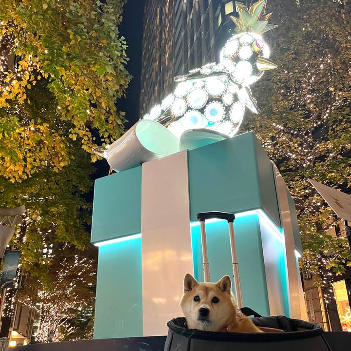 25bf4738 028d 4ee2 947d 789c330de34c 1734719816274