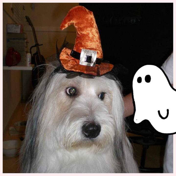 25bf4fd3 57ae 4064 bedf 99e002609f63 1509282835044