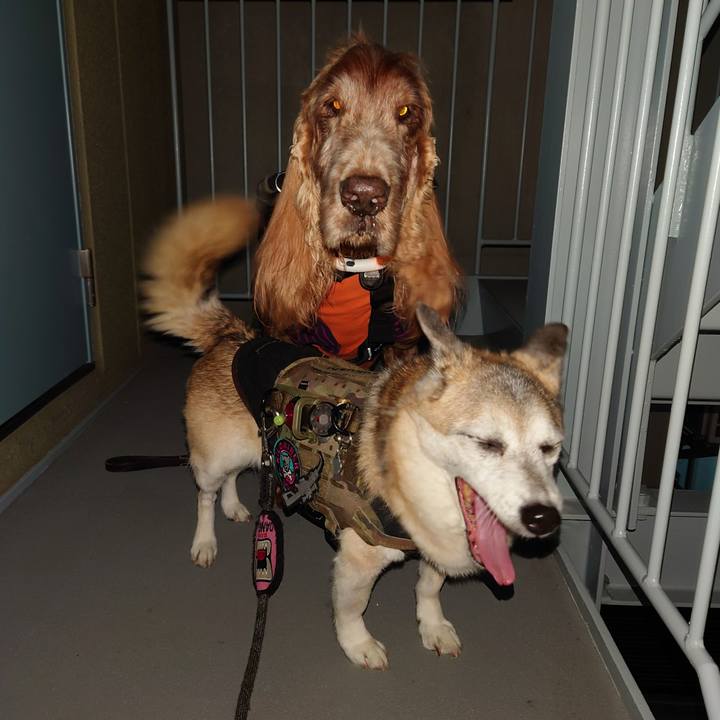 25bf5a5f 9e08 4a63 9396 34f80019238f 1733057815365