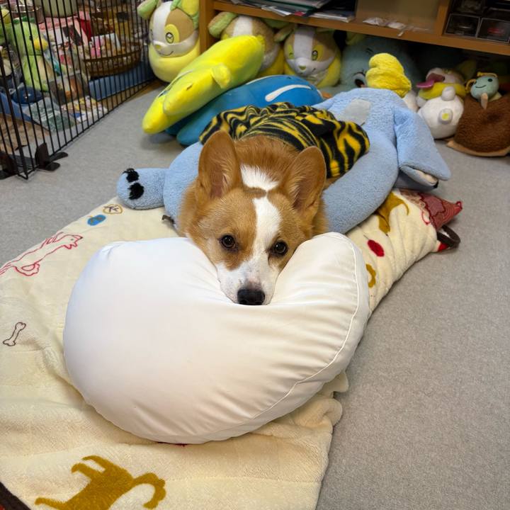 25bf9354 e9e7 4abd 83a2 e9fb0e1da178 1770330070645