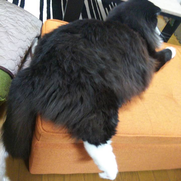 25bfa494 3723 4613 924f ccbeb763f0f8 1656753228213