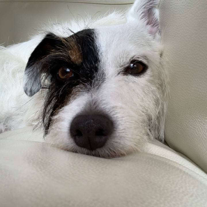 25bfb45d 7274 447a a874 b22814fa854e 1594007512013