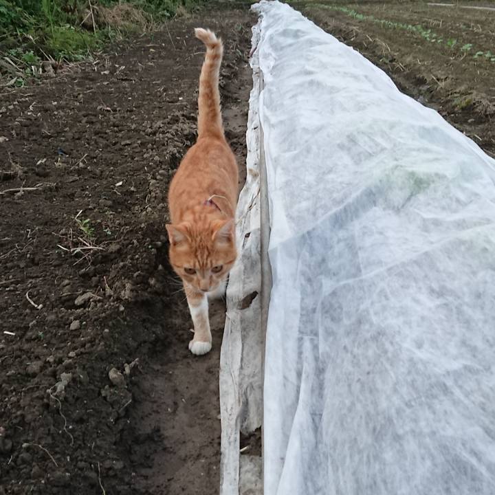 25bfdb0b bb57 47c5 8eb3 e782c116abe8 1567588530630