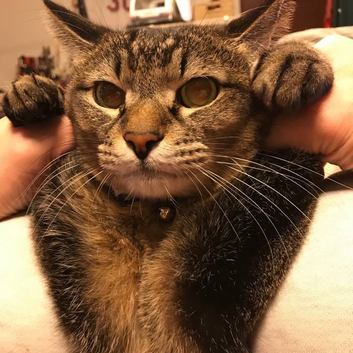 25bfe6e7 8143 4193 8753 1733be76975f 1515883111553