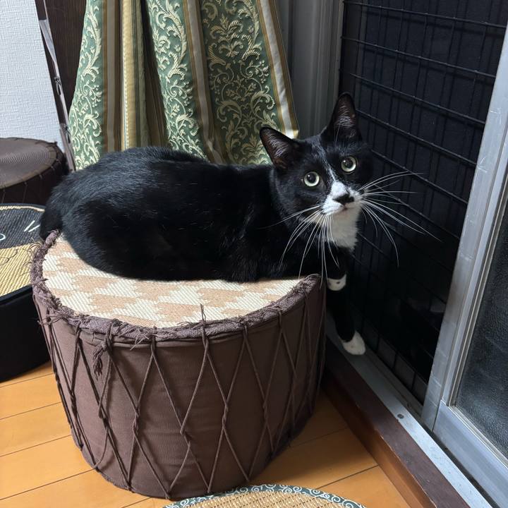 25c01486 c7c6 4dc2 b1be 48f050b6e273 1758596662229