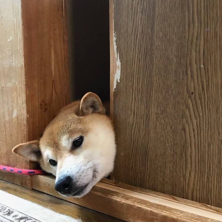 25c05e1f c1b3 4640 8247 338db86c77b0 1527060937513