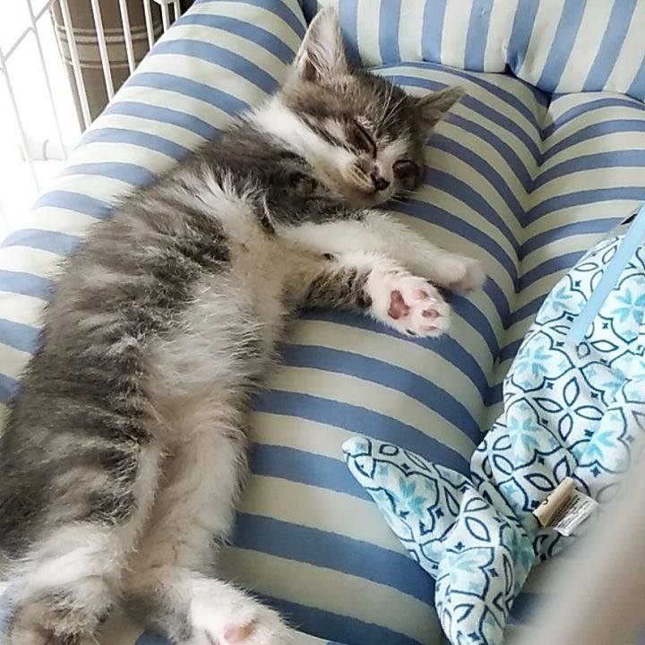 25c0721b e9a1 45b3 847b ae9bbf662771 1560316991409