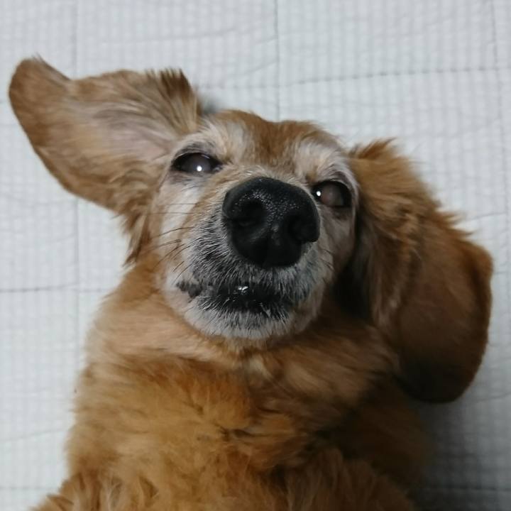 25c07400 d0b0 46b4 b067 7a7e334d03cf 1508605984815