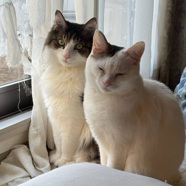 25c07f43 d732 4f7f b020 caaa70581f02 1739755880333