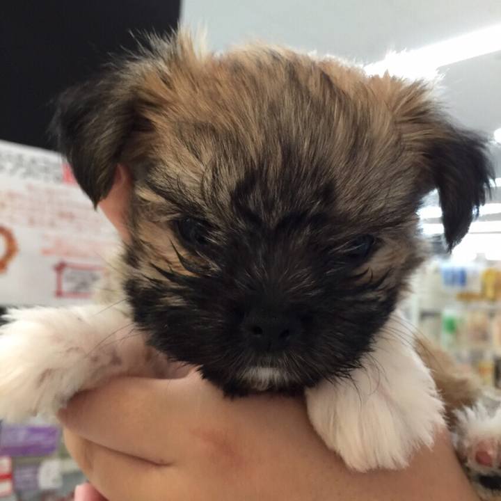 25c090bc 46db 4499 9c71 c2d9636097a8 1559817741105