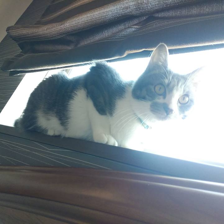 25c0c4bf d794 4062 9515 6ac6622a06cb 1582757579330