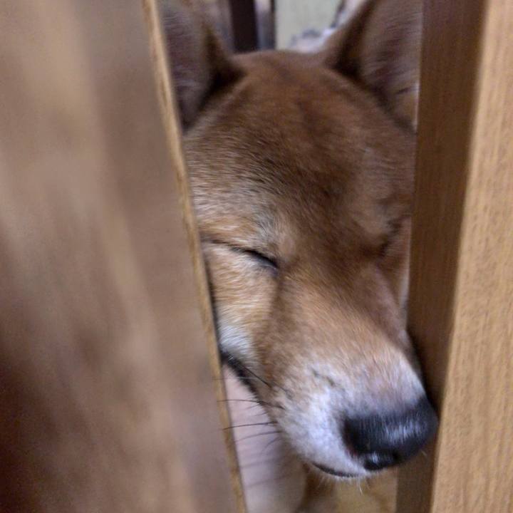 25c142b9 cbbf 446b 8dfd 8b004ef4f24e 1522040862123