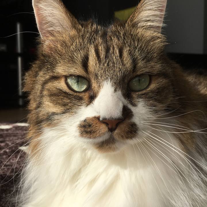 25c15f53 5893 46f6 8a95 53f432b3dc2e 1510710920982