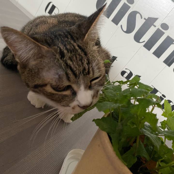 25c1b8c8 4655 4e7c 8c94 b3ca28b27b4d 1630901217617