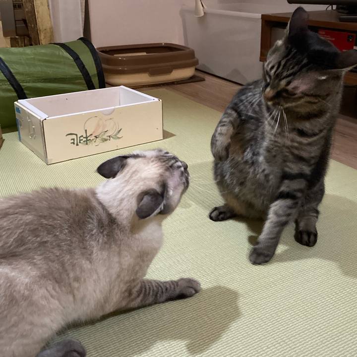 25c1ccff e699 4be9 bf24 a6bab6075a86 1604802939954