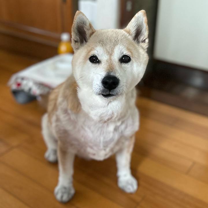 25c1d012 0742 425b bed5 9c538e20d96c 1748683816120