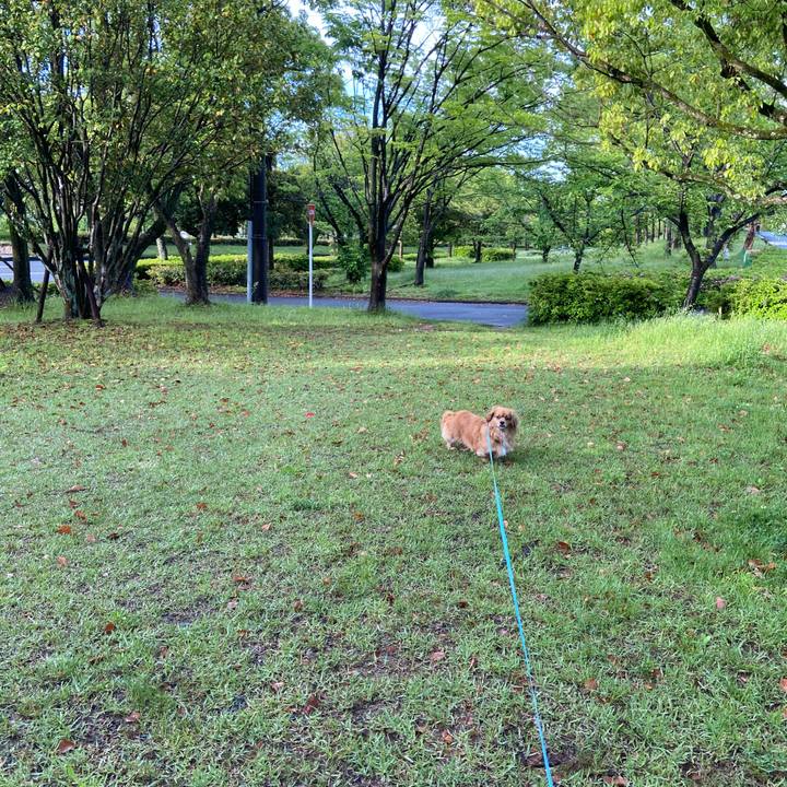 25c22fd1 b9ab 4c48 994a 993448609a68 1620252604473