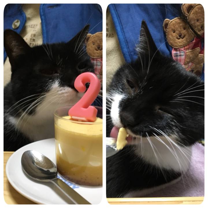 25c2446c 69a5 458d bd57 c686e4343a79 1517063494609