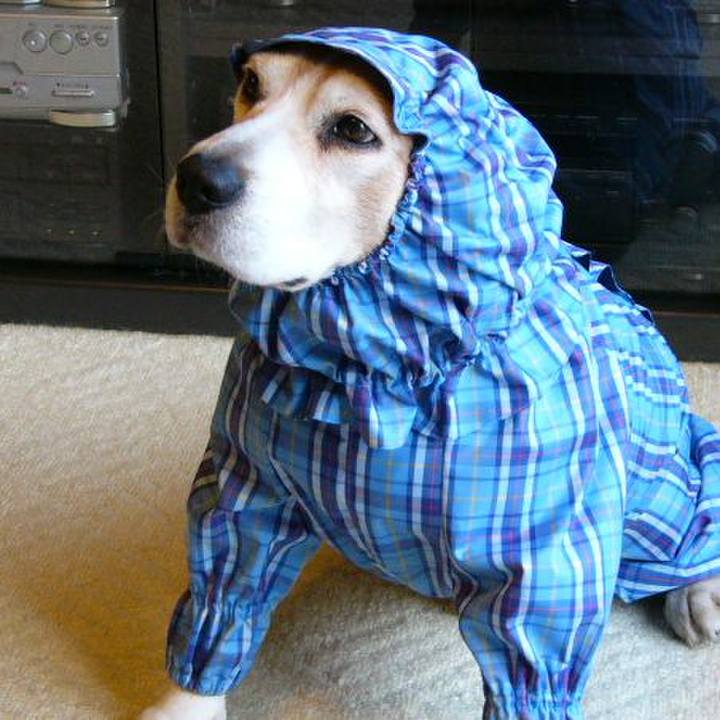 25c26797 4790 4ff5 b6f7 fbeab7d44d87 1714732611652