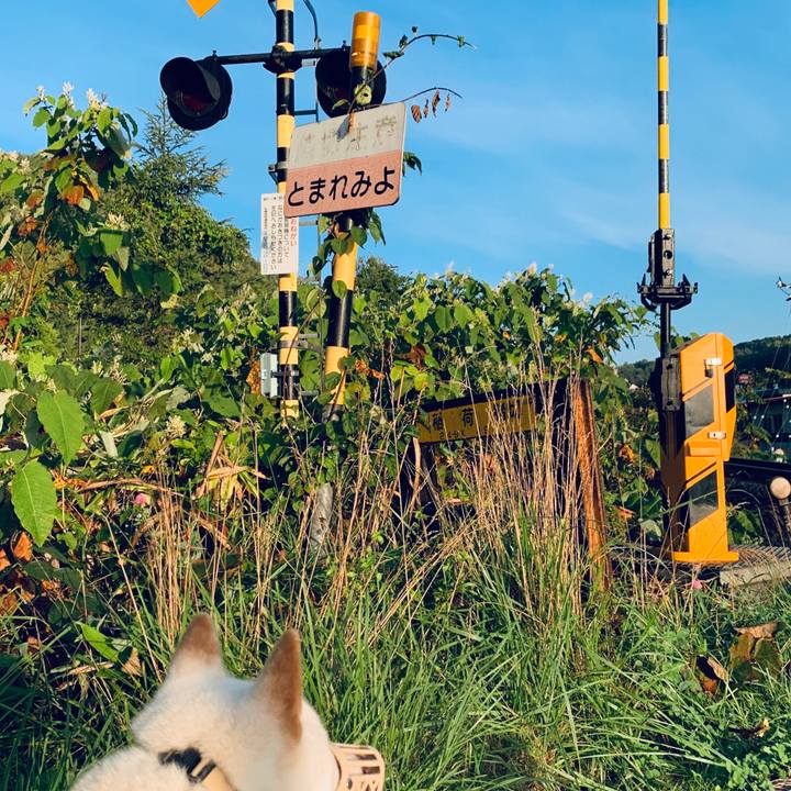 25c27fe1 65be 4a7e a765 56b0f8e11378 1601419248653