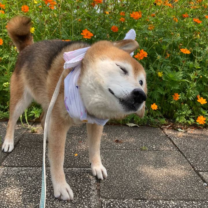 25c2b532 3133 4fa0 b34d c3d94c3d108d 1752038261823