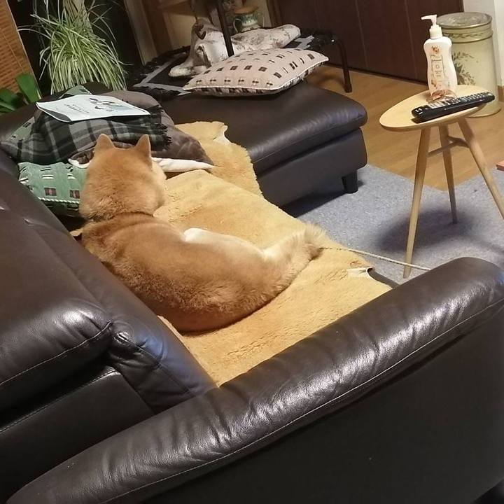 25c2f97e 0fd6 4f9a 848d 4af60d07c4a2 1588278944694