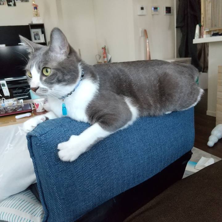 25c2fa8c 71da 4de4 8469 5e50859dc214 1618118347185