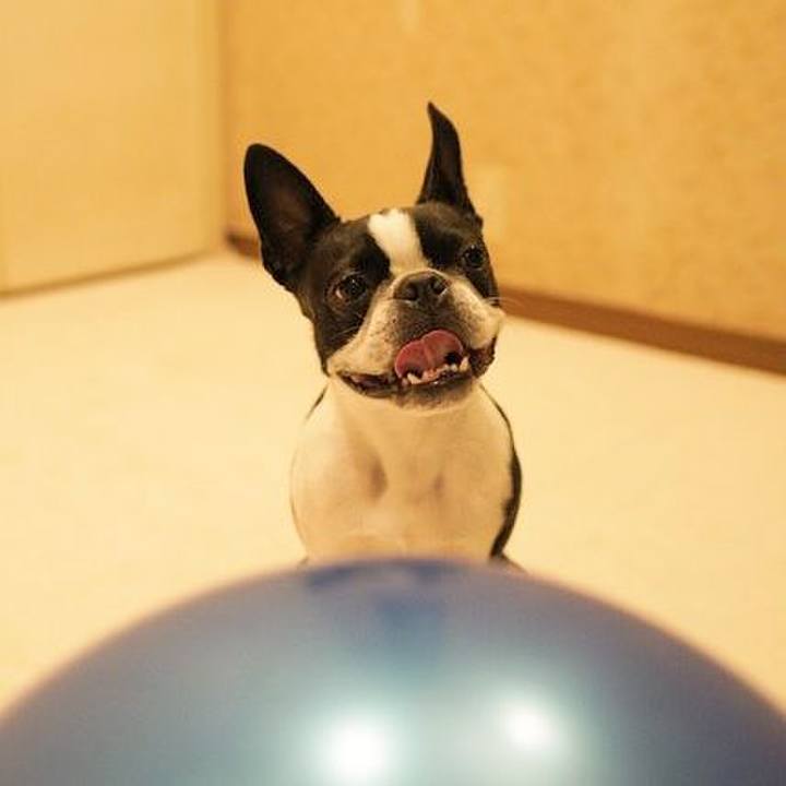 25c35a9e 2549 47f3 a70c b20c1d8eeba0 1542845527560