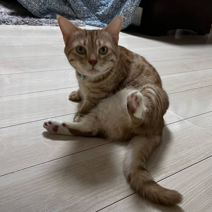 25c394a6 83e7 42a2 9004 9a2fb0d31041 1697619360434