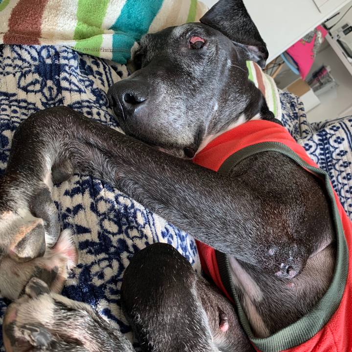 25c3bd98 742b 4d3f a865 8dbcf18254a7 1582934269194