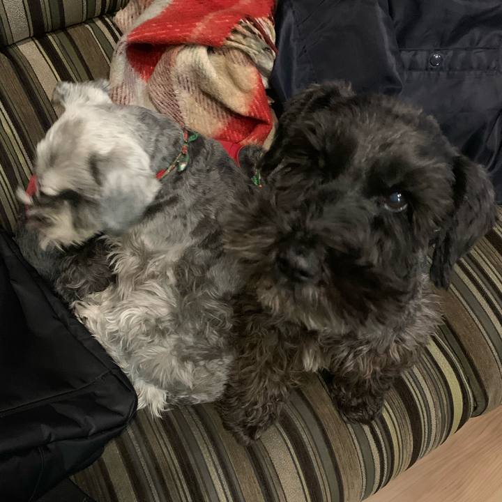 25c3dc6e 6202 49b6 90cf 1935db6cdc74 1608193740384