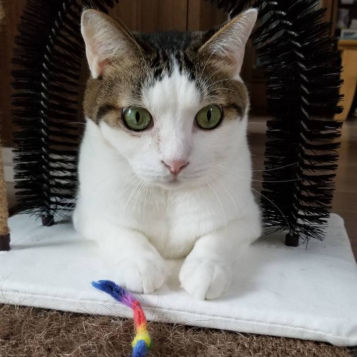 25c3fea2 91b9 4dac aff9 3e793ad99a46 1571706210079