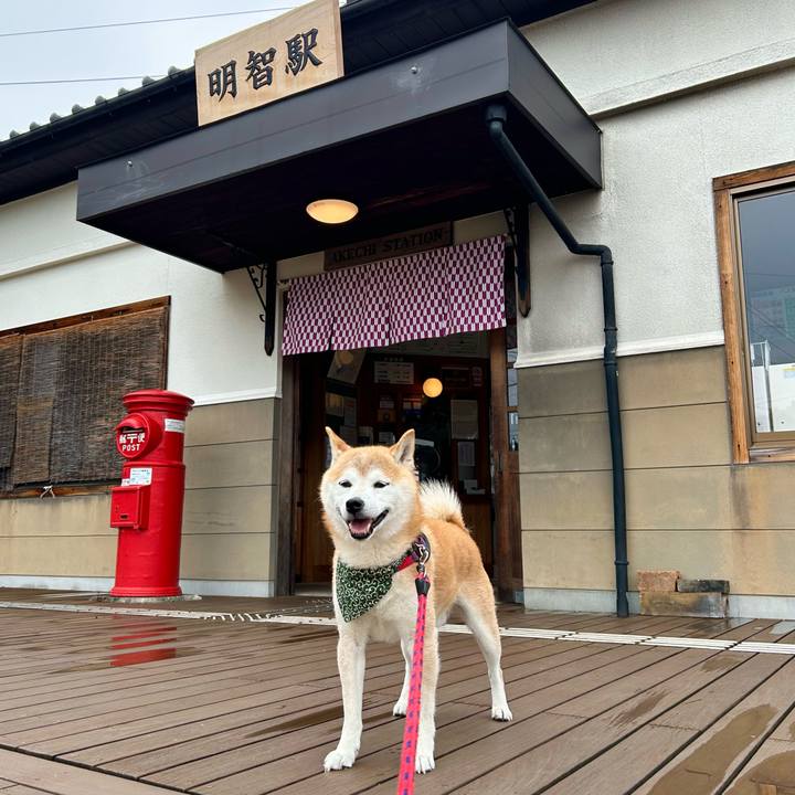 25c40647 7eb7 4764 97ed ca9b923a8f28 1718968365197