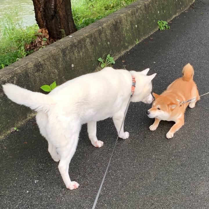 25c406fd 1698 4350 9098 02dd1136e1d2 1563579786462