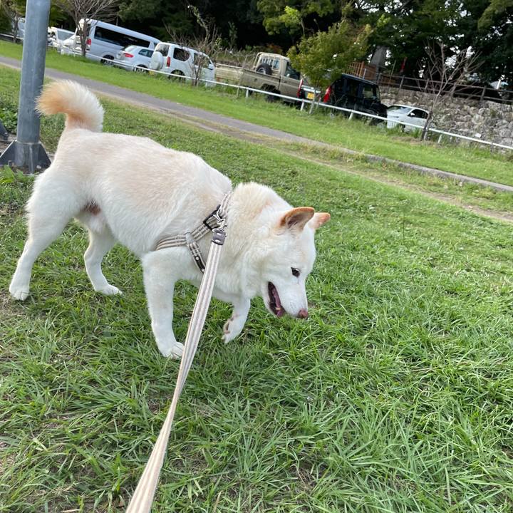 25c41c27 7fb1 49a2 b44e 8762cab87265 1634555139841