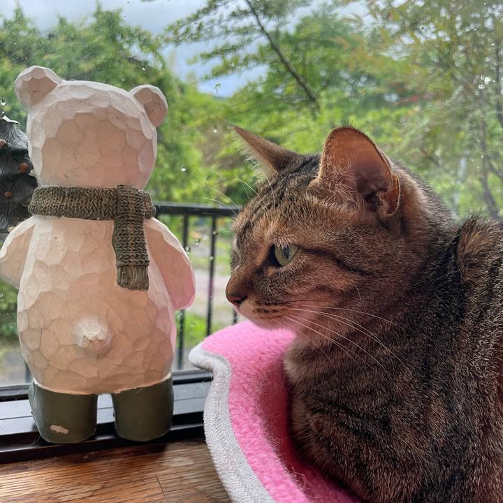 25c43731 086e 4690 80d3 c75832351dac 1651219533452