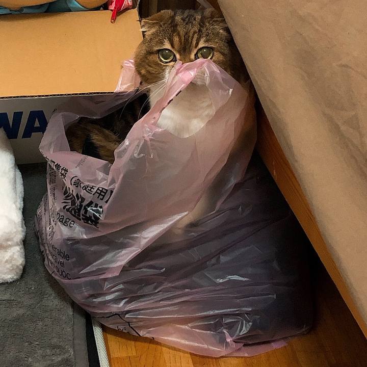 25c442fd f07a 4989 916a 00bc2862e83f 1557492760329