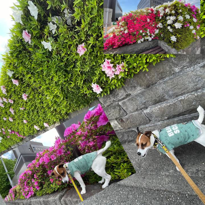 25c45729 fac4 4ded b3b0 2dad9111c67d 1651929640047