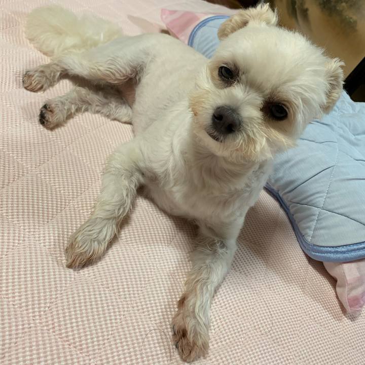 25c46986 bb30 4023 a11b 3e9c3997234f 1595761595092