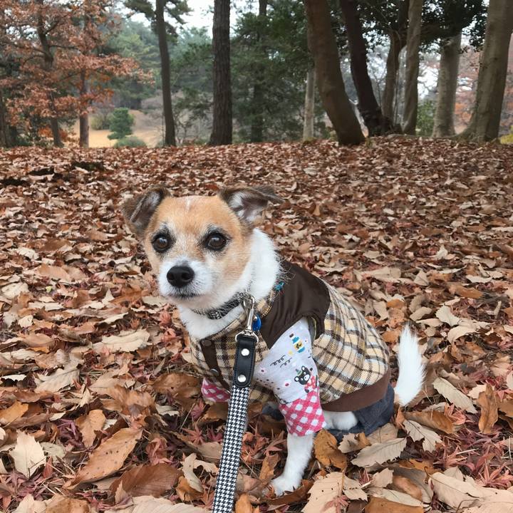 25c47b0b 7d5d 4b7f 8f85 c4c1d78dfd44 1576975218034