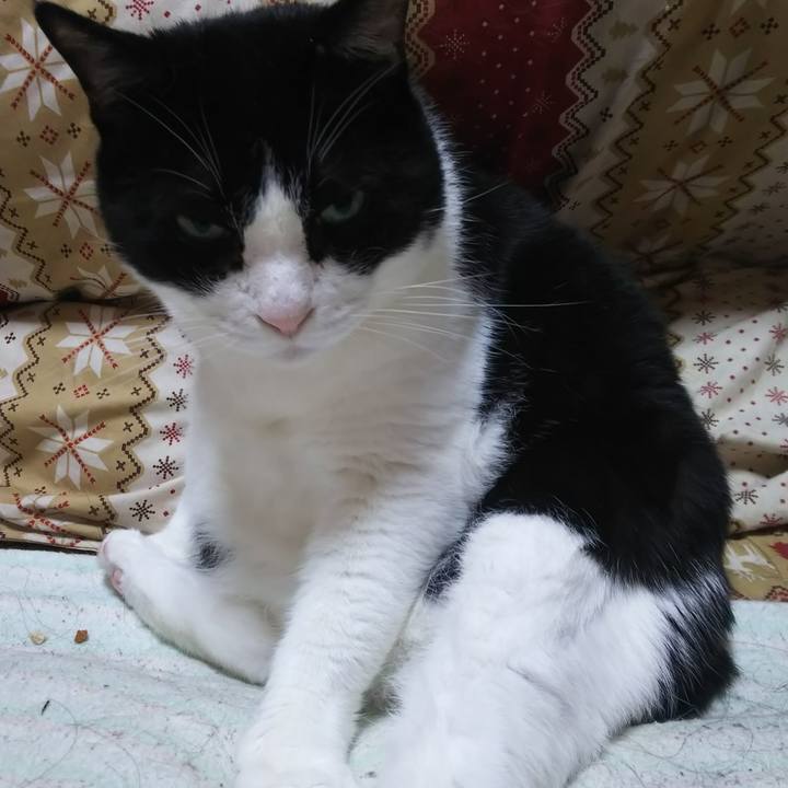 25c49ab4 44ae 4007 9820 40a31a1f6cf1 1564887512909