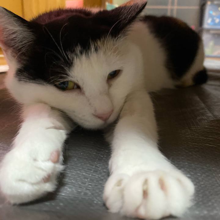 25c4eb58 716c 4d1f 8ab2 3c8852dfeb4a 1651757289245