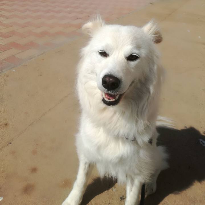 25c5039b 7b56 478b 9234 f72bc18c8bd7 1523669916245