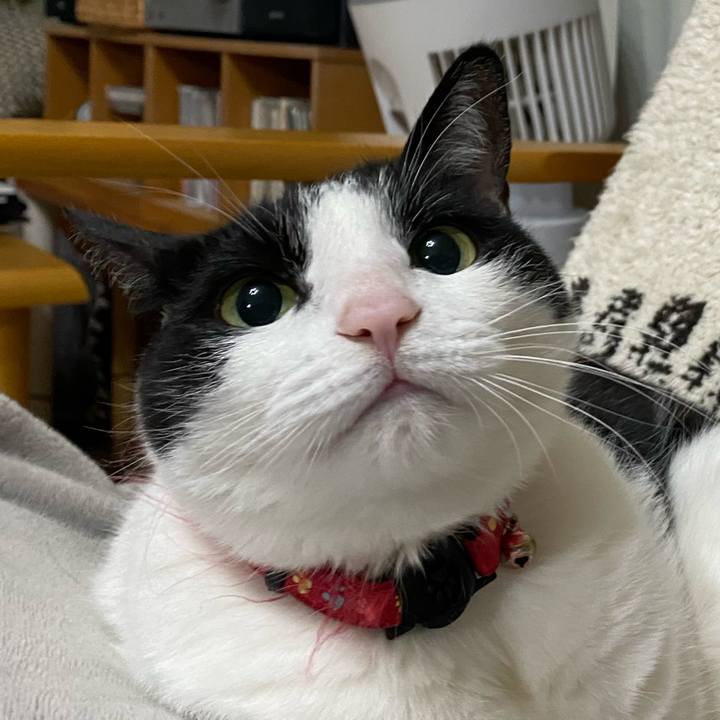 25c513ac 78fd 4695 ba2b b2a968653ead 1708558933300