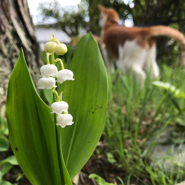 25c5e0d0 1f42 411a 85c2 f83c6b5e3197 1525414888091