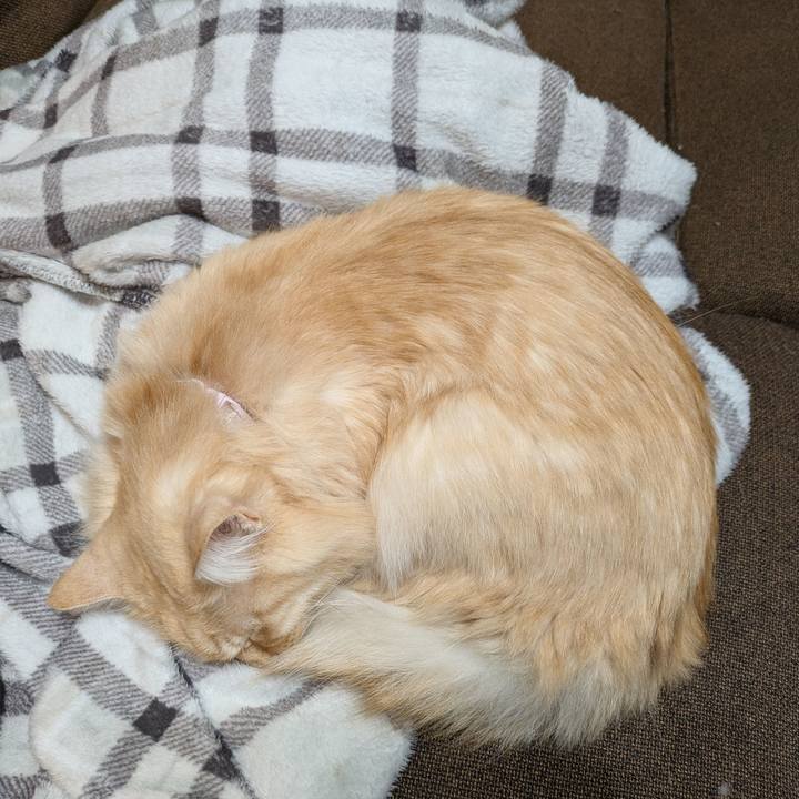 25c5e7e9 c850 4c2f 968e f080e59b9803 1735650323589