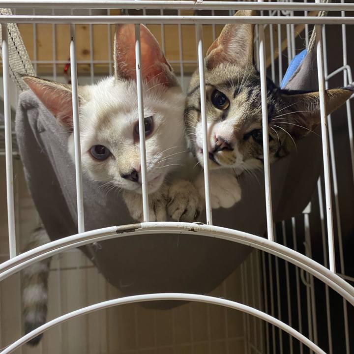 25c5f35f 19d7 4add b8d0 c1c11654a2ba 1629273595979