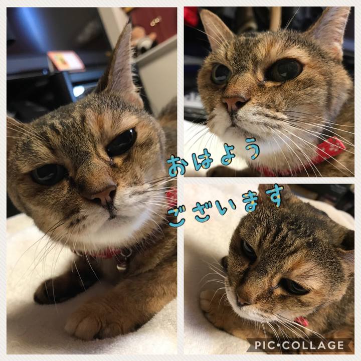 25c60de2 8e49 4481 af6f 661531557ff9 1534368681602