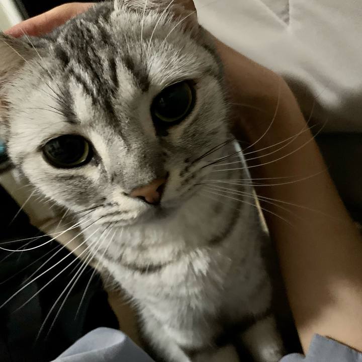 25c60e61 fa5b 4e5c 8493 200d6f963da7 1632997689274