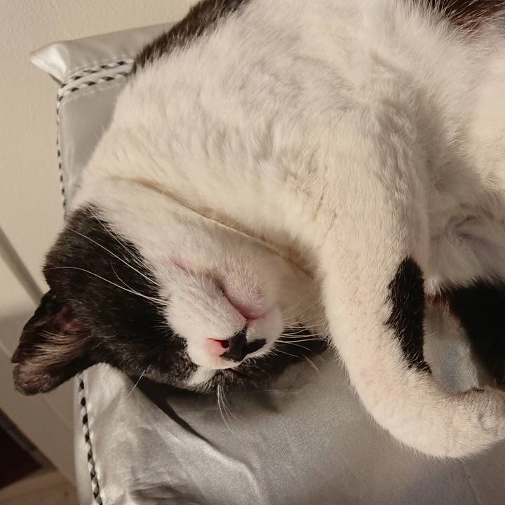 25c62182 024e 45b2 a074 7e379c34e84c 1592608584866